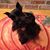 Karen Garrett's profile image