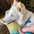 Gwen Coombs's profile image