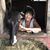 Cheryl Tamburlin's profile image