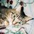 Holly Logan-Arrington's profile image