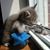 David J. Carton's profile image