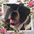 Lisa Marie Clark's profile image