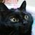 Steve Fisher's profile image