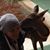 Shelley Robinson's profile image