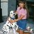 Rosemary Lyons's profile image