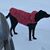 Donna Marie's profile image