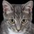 Toni Turk's profile image