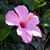 Missy Poirier's profile image