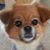 Sharen D.'s profile image