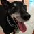 Debbie Bachler's profile image