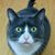 Thumpurr Qualls's profile image