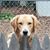 Smitty Smith's profile image