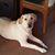Ann Devereux's profile image