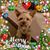Karen Cascia's profile image