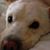 Amy Hughes Maxwell's profile image
