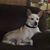 Frances D. Robertson's profile image