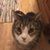 Lisa Welch's profile image