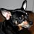 Gladys Pineda's profile image