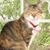 Cathryn McGonigal's profile image