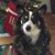 Sandra Murray's profile image