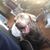 Andrea Colwell Wood's profile image