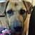 Alma Carioca's profile image