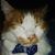 Nevin West's profile image