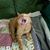 Lili Mateo's profile image