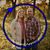 Holly Burk's profile image