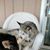 Cindy Stone's profile image