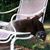 Jeanne Simmons Kelley's profile image