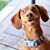 Lynsey Sperry Howell's profile image