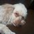 Teri Hickox's profile image