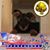 Suzanne Wurster's profile image
