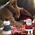 Sally Johnston-Chanonhouse's profile image