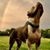 Charmaine Walsh's profile image