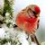 Barb Granville's profile image