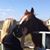 Sherri Evans's profile image