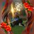 Donnie Bender's profile image