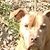 Tony McCarthy's profile image