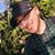 Tim Hehn's profile image