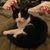Debbie Gilbert's profile image