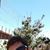 Violeta Delourdes Perez Campos's profile image