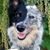 David Burnette's profile image