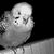 Kelly Olson's profile image