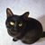 Anne Wilco's profile image