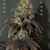 Christopher Mcgough's profile image