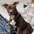 Rich Karen Nealis's profile image