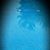 Marie Pletcher's profile image