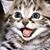 Mavis Kygar's profile image